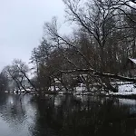 Dom wakacyjny Sazava River With Boating Experience *