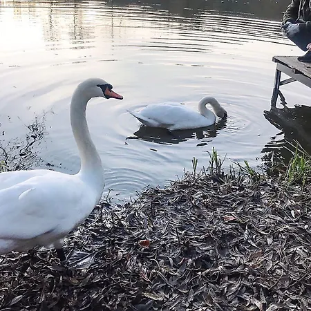 Tatil Evi Sazava River With Boating Experience *