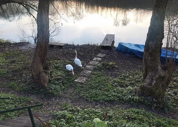 Dom wakacyjny Sazava River With Boating Experience *