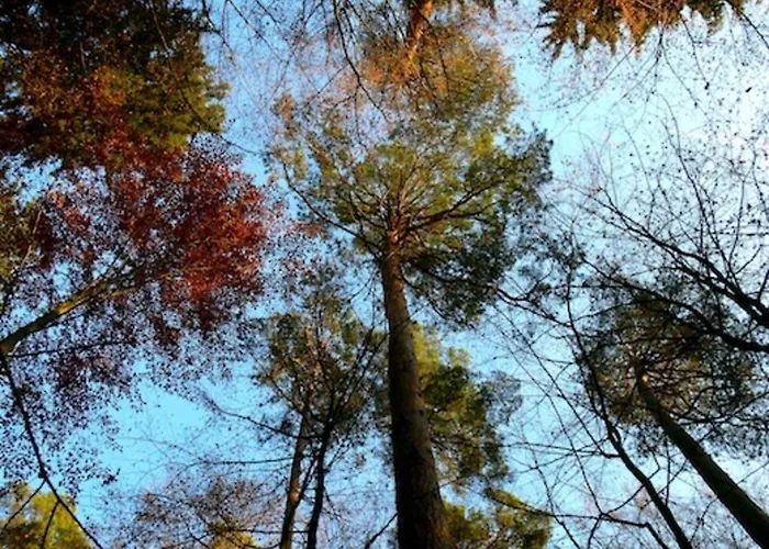 Sazava River With Boating Experience Dom wakacyjny Týnec nad Sázavou