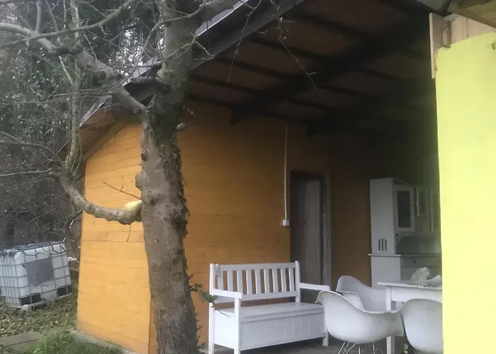 Sazava River With Boating Experience * Týnec nad Sázavou